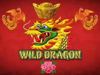 Nine Casino screenshot